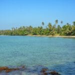 Spokojna plaża na tajskiej wyspie Ko Mak z palmami i turkusowym morzem