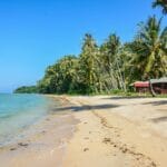 Tropikalna plaża na Ko Mak w Tajlandii z palmami i drewnianymi chatkami