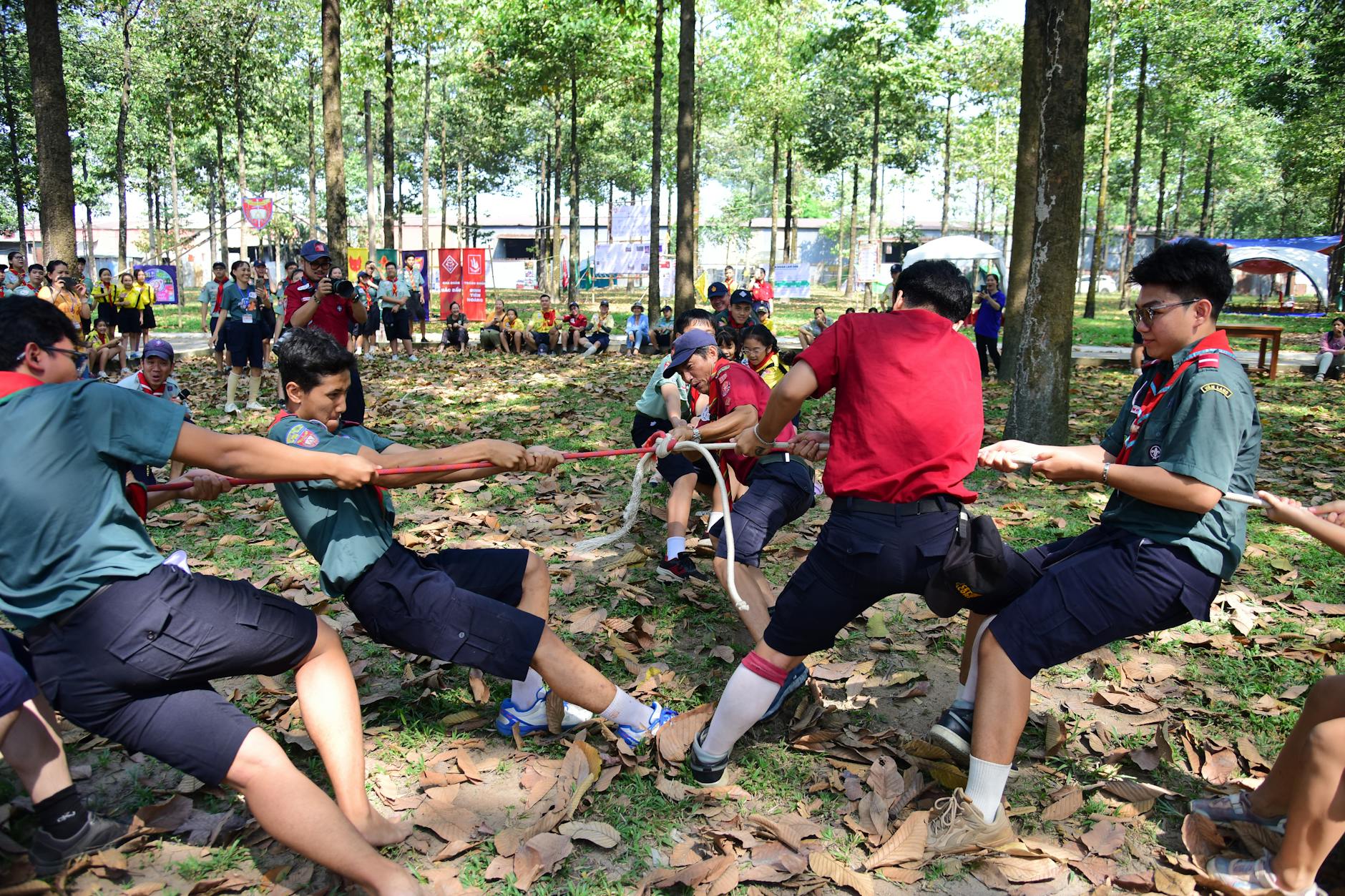 Harcerze przeciągający linę w słonecznym lesie